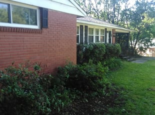 Bush Trimming by Adams Paiz for Kelly S. in Charlotte, NC