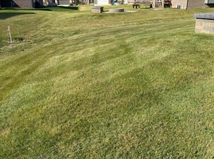 Michelle N.'s Lawn Mowing Service service result