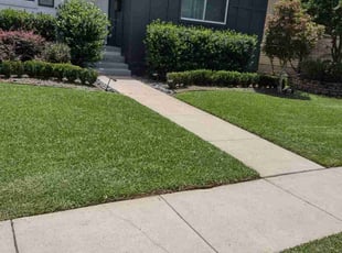 Michael S.'s Lawn Care service result
