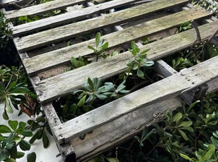 Cleanups by Calvin Davis for Robert N. in North Augusta, SC