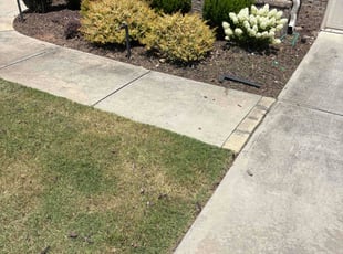 Weeding by Phoebe Odum for Carlo H. in Kennesaw, GA
