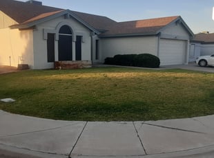Bush Trimming by Gideon Cook for Scott M. in Mesa, AZ