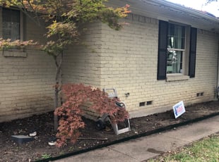 Leaf Removal by Adriana Ramirez for Gus R. in Dallas, TX