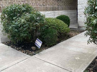 Mulching by Juan Vazquez for Ryan O. in San Antonio, TX