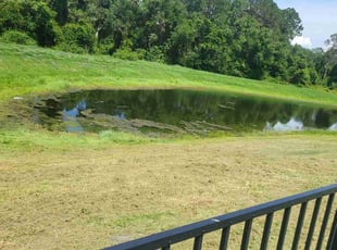 Bush Trimming by Deandre Flowers for Joshua L. in Green Cove Springs, FL