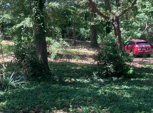 Bush Trimming by Kole Vickers for Lillie W. in Stockbridge, GA