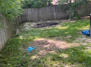Leaf Removal by Kenneth Walker for Jamesha L. in Akron, OH