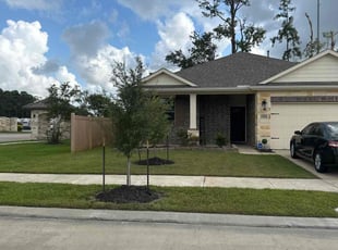 Cynthia P.'s Lawn Mowing service result