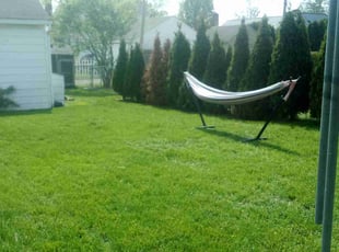Patrick S.'s Lawn Care service result