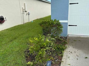 Bush Trimming by Hanif Ibn King for Deborah D. in Lakeland, FL
