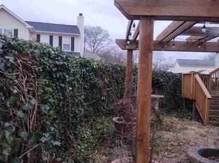Cleanups by Wayne Barnes for L'Tisha W. in Glen Burnie, MD