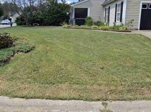 Chelsey F.'s Lawn Maintenance service result