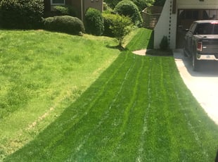 Leaf Removal by Antuanne Kerr for Brian L. in Charlotte, NC