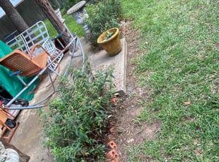 Bush Trimming by Francisco Bermudez for Sandra U. in Fort Worth, TX