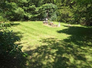 Arielle S.'s Grass Cutting service result