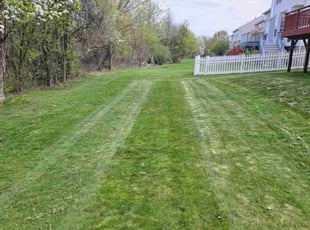 Amanda S.'s Grass Cutting service result
