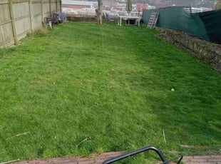 Karen A.'s Yard Cutting service result