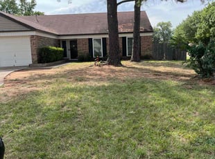 Weeding by Alexander Flores for Carolyn J. in Lewisville, TX