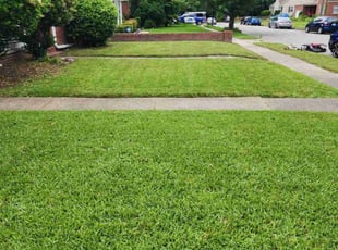 Rhonda L.'s Lawn Mowing service result