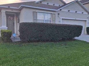 Bush Trimming by Angel Vazquez for Debbie B. in Davenport, FL