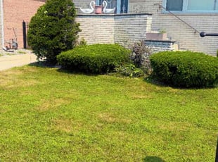 Weeding by Christina Bryan for Trish K. in Calumet City, IL