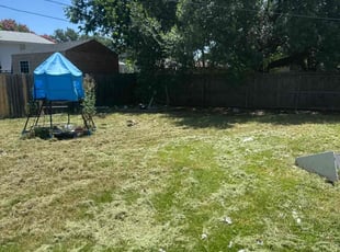 Cleanups by Rhett Lambas for Sarah D. in Mansfield, TX