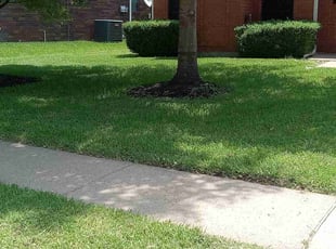 Michele C.'s Lawn Care service result