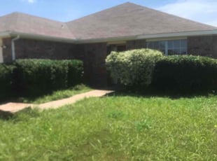 Bush Trimming by Terry Johnson for Ashley F. in Burleson, TX