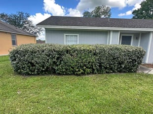 Bush Trimming by Marcus Perry for Doumi W. in Deltona, FL