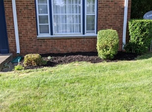 Landscaping by Willie Tisdel for Angela W. in Shaker Heights, OH