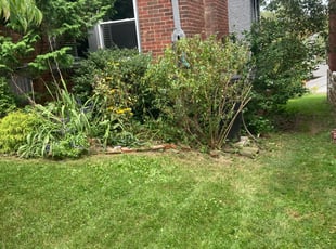 Bush Trimming by Evan Cadoff for Therese H. in Pittsburgh, PA
