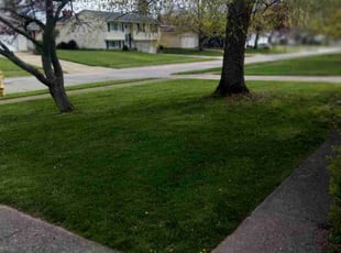 Angela W.'s Lawn Service service result
