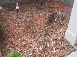 Weeding by Michael Peters for Kristi W. in Canton, GA
