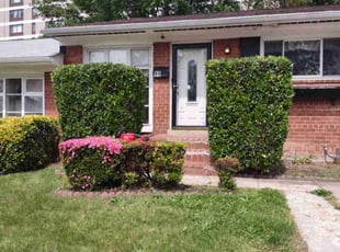 Bush Trimming by David Peters for Constance B. in Alexandria, VA