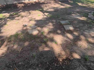 Leaf Removal by Presley Thomas for Jeremy B. in Houston, TX