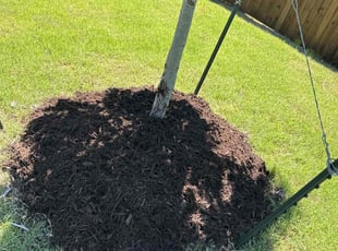 Mulching by Patrick Stewart for Elvin A. in Farmersville, TX