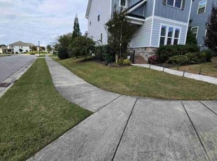 Denise M.'s Lawn Mowing service result