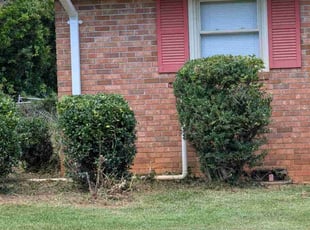 Bush Trimming by jose santana for Mike J. in Spartanburg, SC