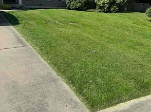 LaTonya G.'s Lawn Mowing service result