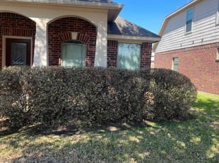 Bush Trimming by Rene Contreras for Towana S. in Richmond, TX