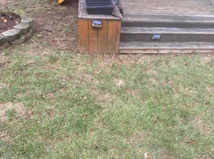 Leaf Removal by Anil Singh for Carl P. in Bristow, VA