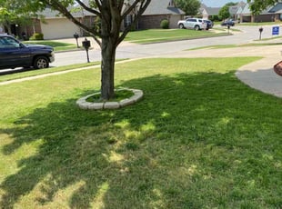 Leaf Removal by Paul Handley for Piang P. in Jenks, OK