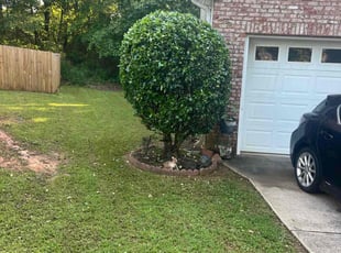 Bush Trimming by Phillip StPreuve for Louise D. in Lawrenceville, GA