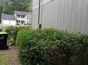 Bush Trimming by Richard Jones for Dawnetta B. in Atlanta, GA