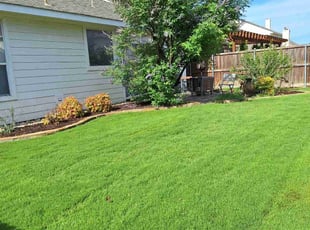 Jason E.'s Lawn Mowing service result