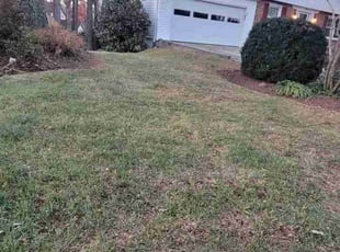 Leaf Removal by Jose Gonzalez for Martine S. in Silver Spring, MD