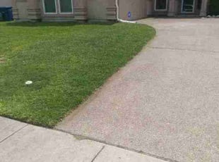 Peter B.'s Lawn Care service result