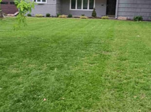 Ashley R.'s Lawn Service service result
