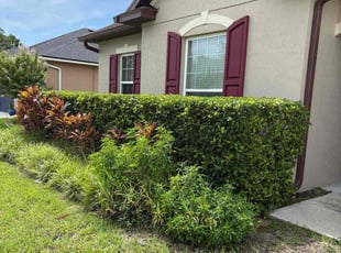 Bush Trimming by M&C Lawn Pro Services, LLC for Seth W. in Ocoee, FL