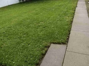 Seth S.'s Lawn Mowing service result